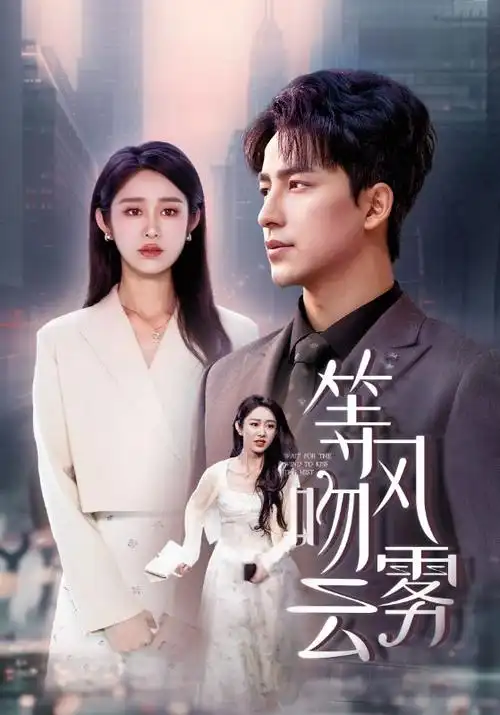 无声证词 悬疑推理剧全集手机在线看